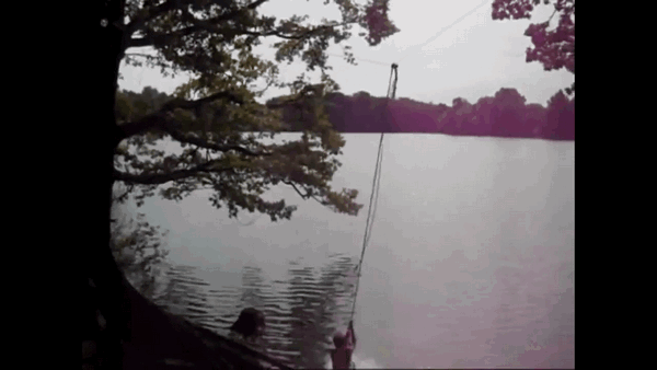 falling from a branch in the lake