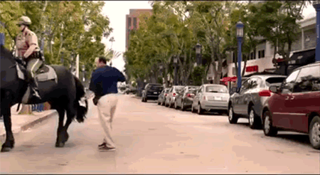Kick from horse for slap back from man - CrazyGif.com
