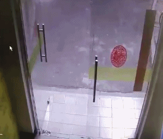 dog breaks glass door while chasing cat