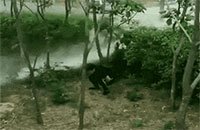 shitting man in bushes with washed ass
