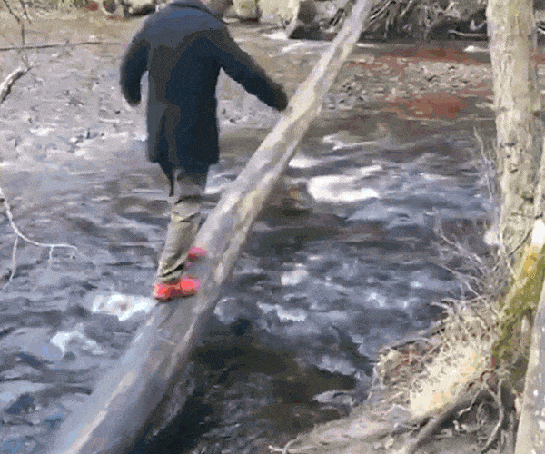 an old man falls into the river